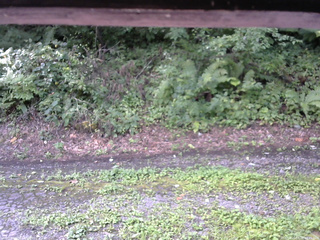 長野県菅平高原 ゆたか山荘 南側 2025/08/22 09:45