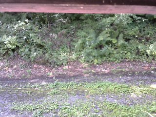 長野県菅平高原 ゆたか山荘 南側 2025/08/22 10:00