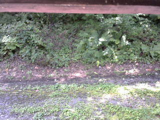 長野県菅平高原 ゆたか山荘 南側 2025/08/22 10:15