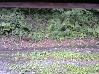 長野県菅平高原 ゆたか山荘 南側 2025/08/22 10:30