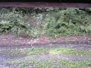 長野県菅平高原 ゆたか山荘 南側 2025/08/22 10:45