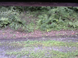 長野県菅平高原 ゆたか山荘 南側 2025/08/22 11:00