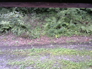 長野県菅平高原 ゆたか山荘 南側 2025/08/22 11:15