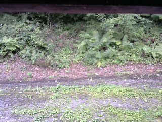 長野県菅平高原 ゆたか山荘 南側 2025/08/22 11:30