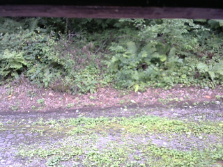 長野県菅平高原 ゆたか山荘 南側 2025/08/22 11:45