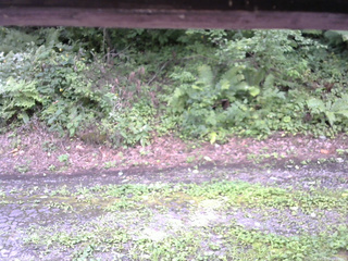 長野県菅平高原 ゆたか山荘 南側 2025/08/22 12:00