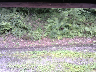 長野県菅平高原 ゆたか山荘 南側 2025/08/22 12:15