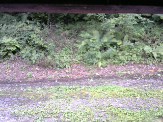 長野県菅平高原 ゆたか山荘 南側 2025/08/22 12:30