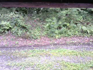 長野県菅平高原 ゆたか山荘 南側 2025/08/22 12:45