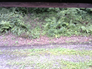 長野県菅平高原 ゆたか山荘 南側 2025/08/22 13:00