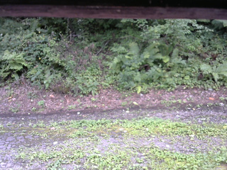 長野県菅平高原 ゆたか山荘 南側 2025/08/22 13:15