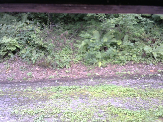 長野県菅平高原 ゆたか山荘 南側 2025/08/22 13:30