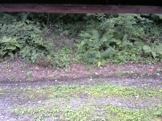 長野県菅平高原 ゆたか山荘 南側 2025/08/22 13:45