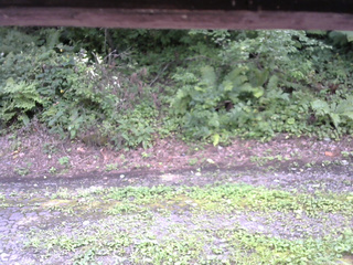 長野県菅平高原 ゆたか山荘 南側 2025/08/22 14:00