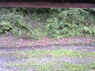 長野県菅平高原 ゆたか山荘 南側 2025/08/22 14:15