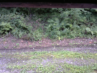 長野県菅平高原 ゆたか山荘 南側 2025/08/22 14:30