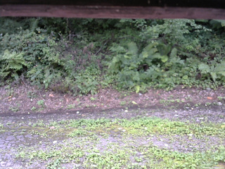 長野県菅平高原 ゆたか山荘 南側 2025/08/22 14:45