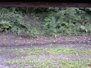 長野県菅平高原 ゆたか山荘 南側 2025/08/22 15:00