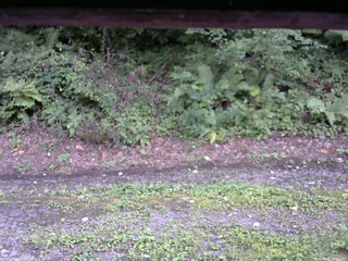 長野県菅平高原 ゆたか山荘 南側 2025/08/22 15:15