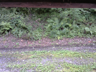 長野県菅平高原 ゆたか山荘 南側 2025/08/22 15:30