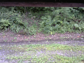 長野県菅平高原 ゆたか山荘 南側 2025/08/22 15:45