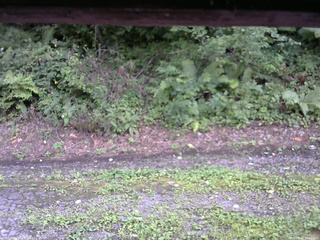 長野県菅平高原 ゆたか山荘 南側 2025/08/22 16:00