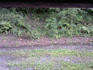 長野県菅平高原 ゆたか山荘 南側 2025/08/22 16:15