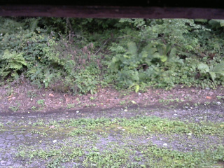 長野県菅平高原 ゆたか山荘 南側 2025/08/22 16:30