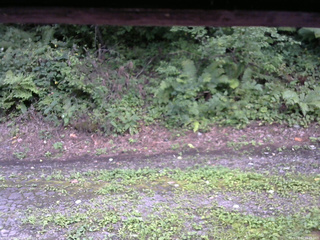 長野県菅平高原 ゆたか山荘 南側 2025/08/22 16:45