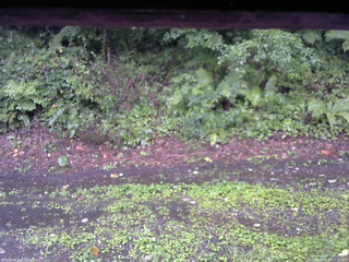 長野県菅平高原 ゆたか山荘 南側 2025/08/22 17:15