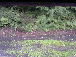 長野県菅平高原 ゆたか山荘 南側 2025/08/22 17:30