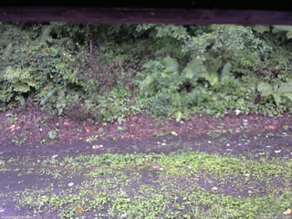 長野県菅平高原 ゆたか山荘 南側 2025/08/22 17:45