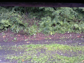 長野県菅平高原 ゆたか山荘 南側 2025/08/22 18:00