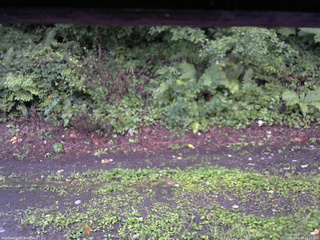 長野県菅平高原 ゆたか山荘 南側 2025/08/22 18:15