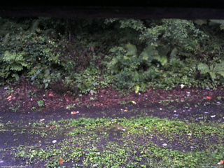 長野県菅平高原 ゆたか山荘 南側 2025/08/22 18:30