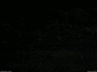 長野県菅平高原 ゆたか山荘 南側 2025/08/22 18:45