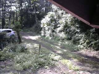 長野県菅平高原 ゆたか山荘 東側(坂下) 2025/08/22 08:15