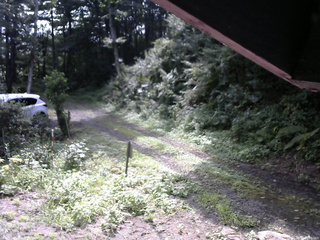 長野県菅平高原 ゆたか山荘 東側(坂下) 2025/08/22 09:00