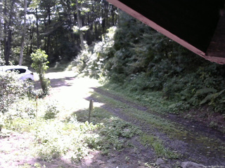 長野県菅平高原 ゆたか山荘 東側(坂下) 2025/08/22 10:00