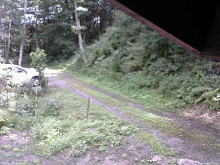 長野県菅平高原 ゆたか山荘 東側(坂下) 2025/08/22 12:00