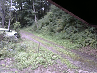長野県菅平高原 ゆたか山荘 東側(坂下) 2025/08/22 13:00