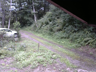長野県菅平高原 ゆたか山荘 東側(坂下) 2025/08/22 13:45