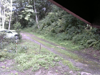 長野県菅平高原 ゆたか山荘 東側(坂下) 2025/08/22 14:00
