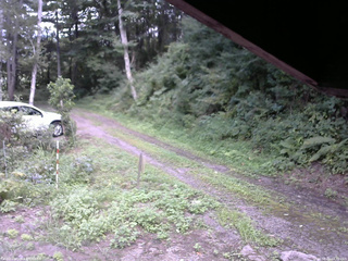 長野県菅平高原 ゆたか山荘 東側(坂下) 2025/08/22 14:30