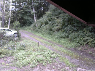 長野県菅平高原 ゆたか山荘 東側(坂下) 2025/08/22 14:45