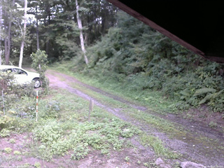 長野県菅平高原 ゆたか山荘 東側(坂下) 2025/08/22 15:00