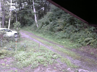 長野県菅平高原 ゆたか山荘 東側(坂下) 2025/08/22 15:15