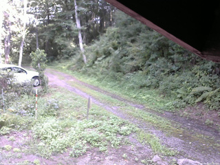 長野県菅平高原 ゆたか山荘 東側(坂下) 2025/08/22 15:30