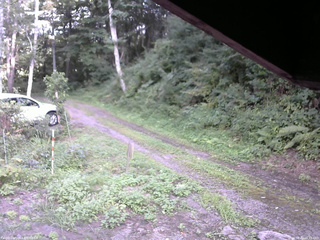 長野県菅平高原 ゆたか山荘 東側(坂下) 2025/08/22 16:15
