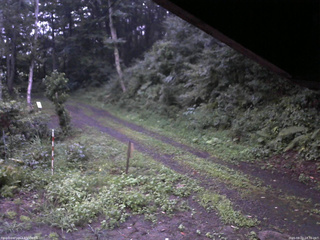 長野県菅平高原 ゆたか山荘 東側(坂下) 2025/08/22 18:30